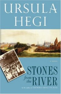 Cover image for Stones from the river