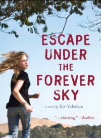 Cover image for Escape under the forever sky