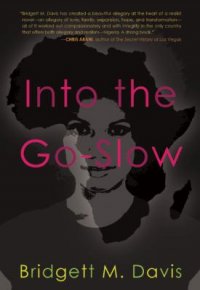 Cover image for Into the go-slow