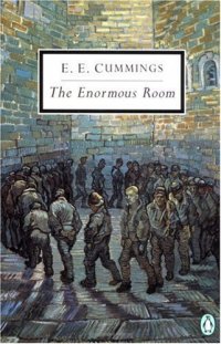 Cover image for The enormous room