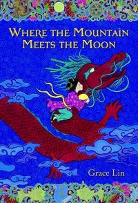 Cover image for Where the mountain meets the moon