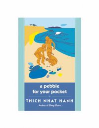 Cover image for A pebble for your pocket : : mindful stories for children and grown-ups