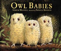 Cover image for Owl babies