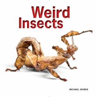 Cover image for Weird insects