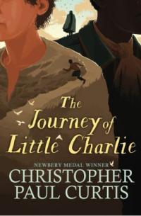 Cover image for The journey of little Charlie