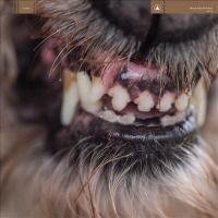Cover image for World eater