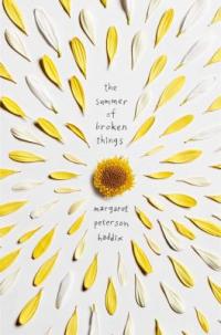 Cover image for The summer of broken things