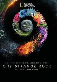 Cover image for One strange rock