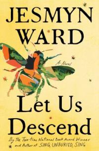 Cover image for Let us descend