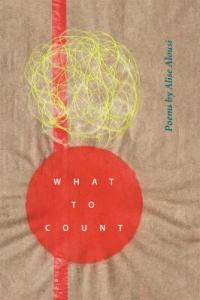 Cover image for What to count