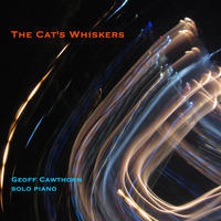 Cover image for The Cat's Whiskers