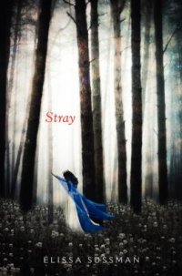 Cover image for Stray