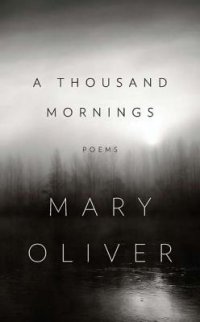 Cover image for A thousand mornings : : poems