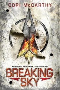 Cover image for Breaking sky