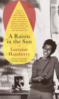 Cover image for A raisin in the sun