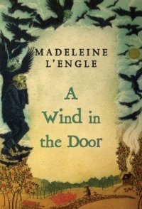 Cover image for A wind in the door