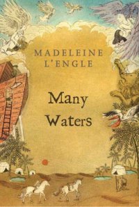 Cover image for Many waters