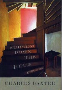 Cover image for Burning down the house : : essays on fiction