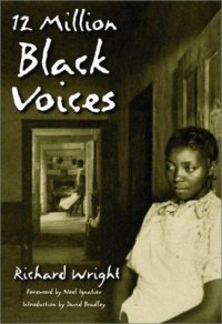 Cover image for 12 million black voices