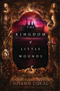 Cover image for The kingdom of little wounds