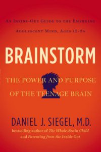 Cover image for Brainstorm : : the power and purpose of the teenage brain