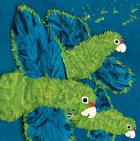 Cover image for Parrots over Puerto Rico