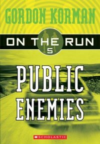 Cover image for Public enemies