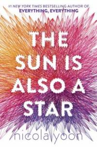 Cover image for The sun is also a star