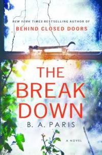 Cover image for The breakdown