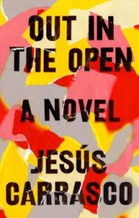 Cover image for Out in the open