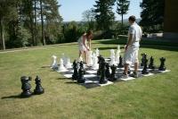 Cover image for Mega Chess (Checkout Four Bags)