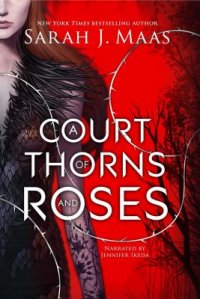 Cover image for A court of thorns and roses