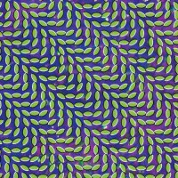 Cover image for Merriweather post pavilion