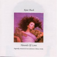 Cover image for Hounds of love