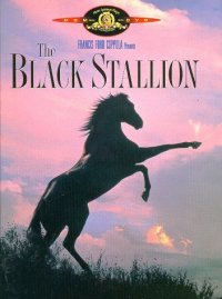 Cover image for The Black stallion