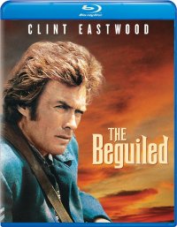 Cover image for The beguiled