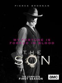 Cover image for The son.