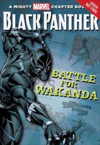 Cover image for Black Panther.