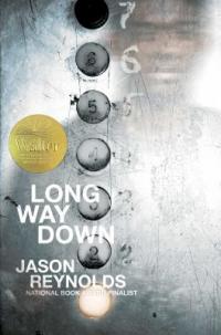 Cover image for Long way down