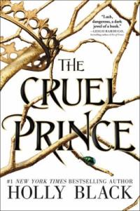 Cover image for The cruel prince