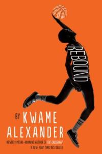 Cover image for Rebound