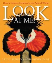 Cover image for Look at me! : : how to attract attention in the animal world