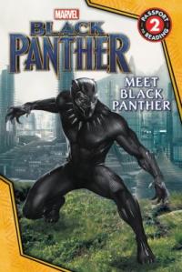 Cover image for Marvel Black Panther.