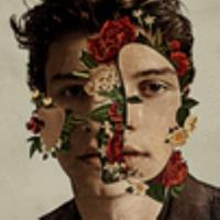 Cover image for Shawn Mendes