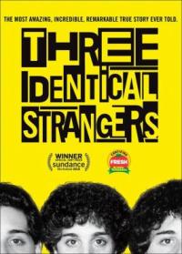 Cover image for Three identical strangers