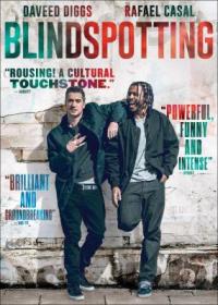 Cover image for Blindspotting