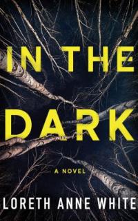 Cover image for In the dark