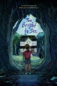 Cover image for Too bright to see