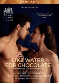 Cover image for Like water for chocolate