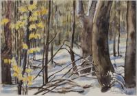 Cover image for Winter Trees, Series 2, 2020